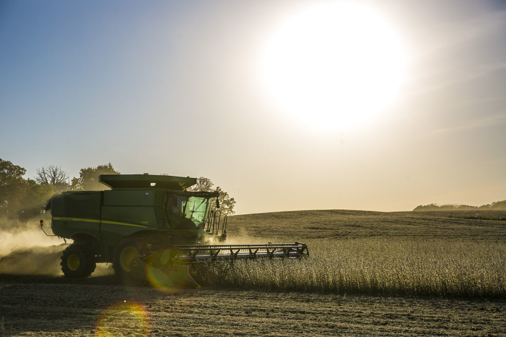 Harvest 1